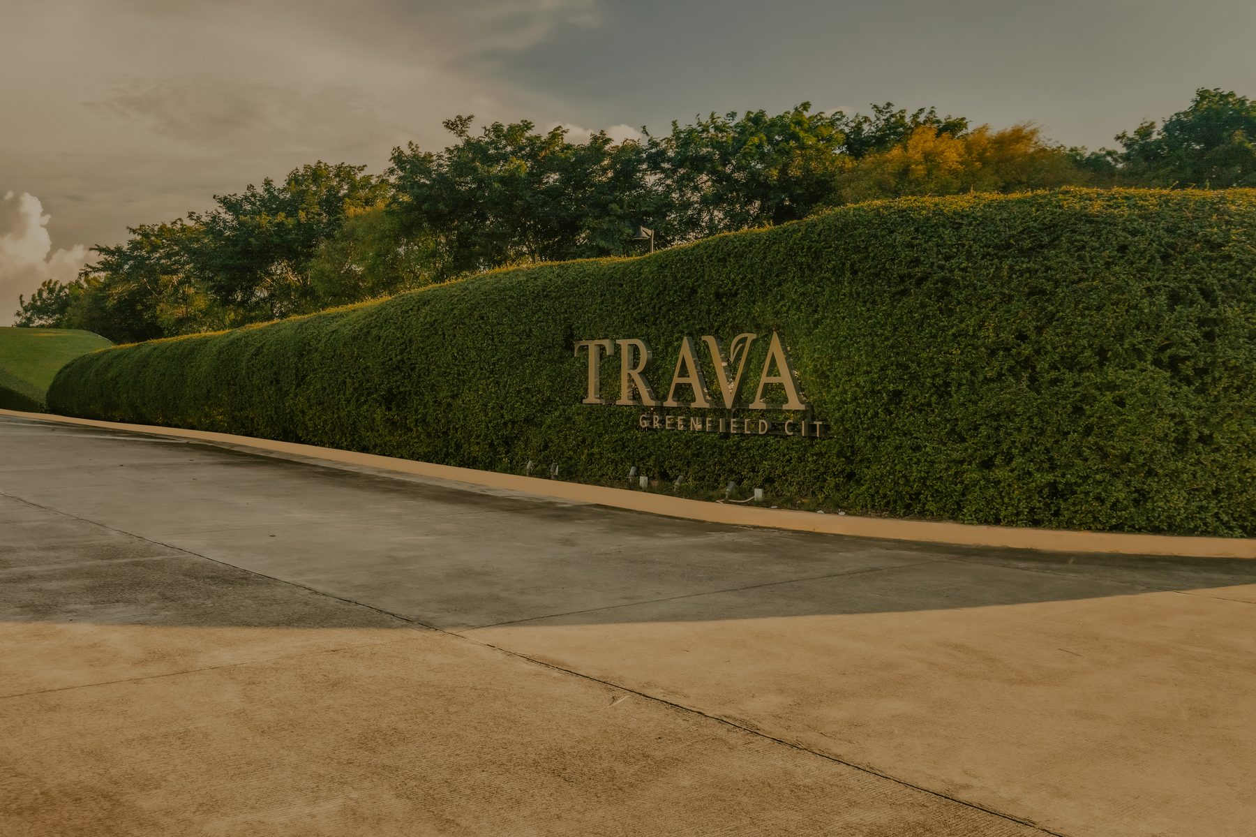 Trava photo 1